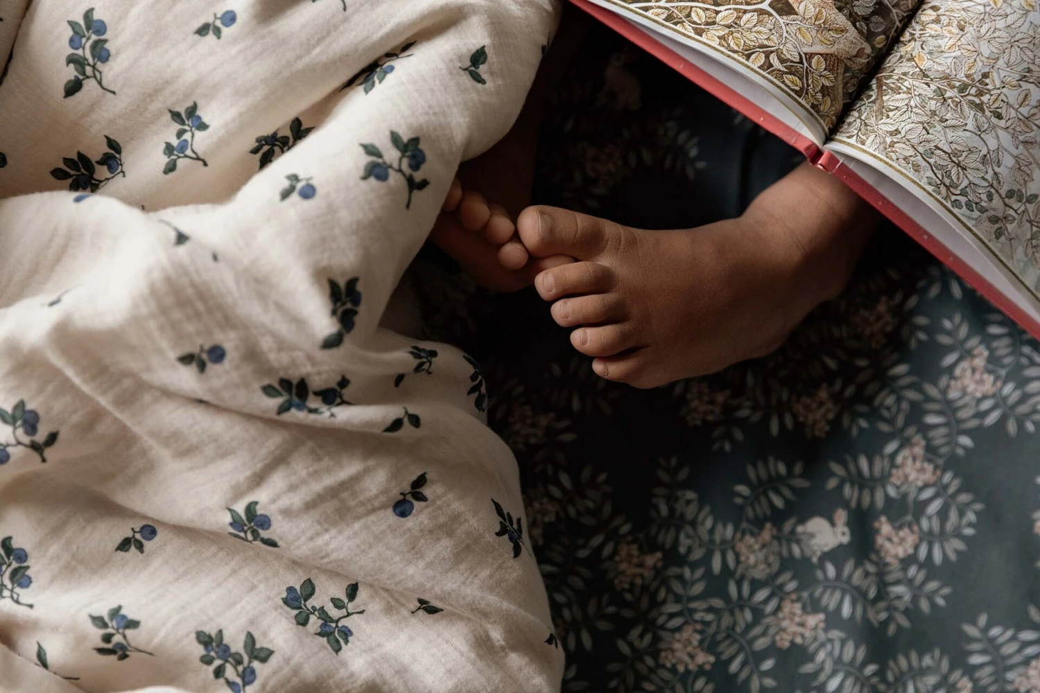 Fauna Forest Spannbetttuch 70x140 Cm, Für Junioren – Bild 5